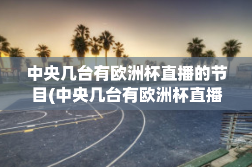 中央几台有欧洲杯直播的节目(中央几台有欧洲杯直播的节目吗视频)