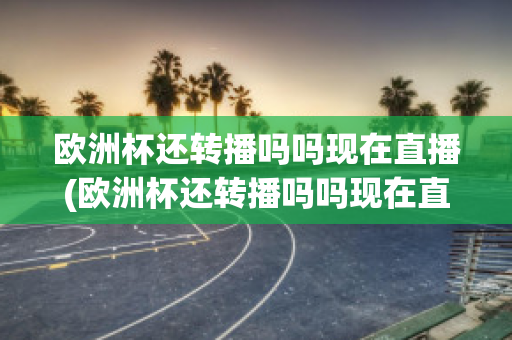 欧洲杯还转播吗吗现在直播(欧洲杯还转播吗吗现在直播在哪看)