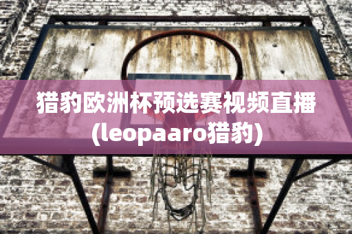 猎豹欧洲杯预选赛视频直播(leopaaro猎豹)