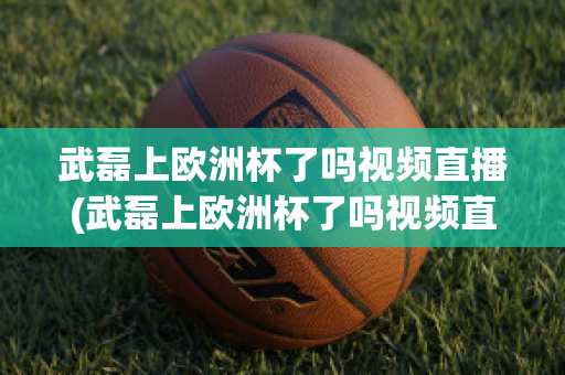 武磊上欧洲杯了吗视频直播(武磊上欧洲杯了吗视频直播在线观看)