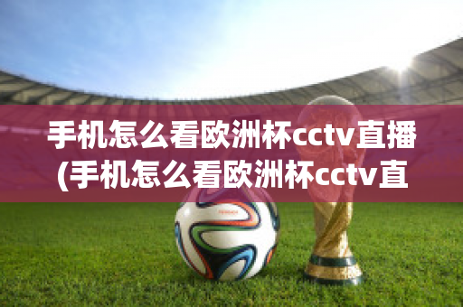 手机怎么看欧洲杯cctv直播(手机怎么看欧洲杯cctv直播回放)