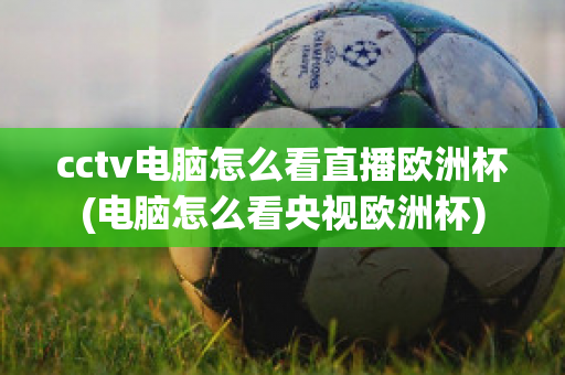 cctv电脑怎么看直播欧洲杯(电脑怎么看央视欧洲杯)