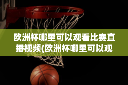 欧洲杯哪里可以观看比赛直播视频(欧洲杯哪里可以观看比赛直播视频回放)