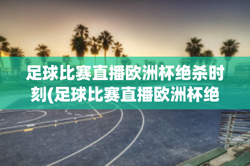 足球比赛直播欧洲杯绝杀时刻(足球比赛直播欧洲杯绝杀时刻回放)