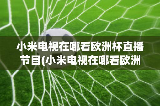 小米电视在哪看欧洲杯直播节目(小米电视在哪看欧洲杯直播节目啊)