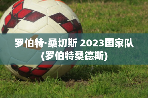 罗伯特·桑切斯 2023国家队(罗伯特桑德斯)