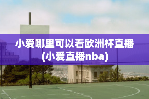 小爱哪里可以看欧洲杯直播(小爱直播nba)