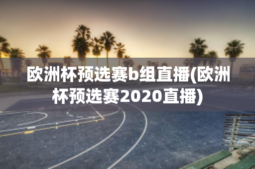 欧洲杯预选赛b组直播(欧洲杯预选赛2020直播)