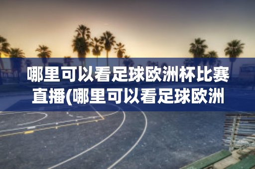 哪里可以看足球欧洲杯比赛直播(哪里可以看足球欧洲杯比赛直播回放)