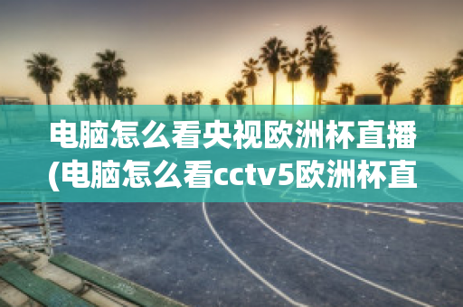 电脑怎么看央视欧洲杯直播(电脑怎么看cctv5欧洲杯直播)