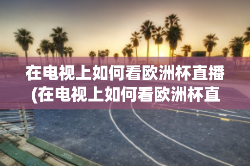 在电视上如何看欧洲杯直播(在电视上如何看欧洲杯直播回放)