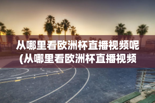 从哪里看欧洲杯直播视频呢(从哪里看欧洲杯直播视频呢)