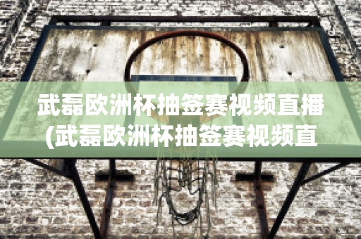 武磊欧洲杯抽签赛视频直播(武磊欧洲杯抽签赛视频直播在线观看)