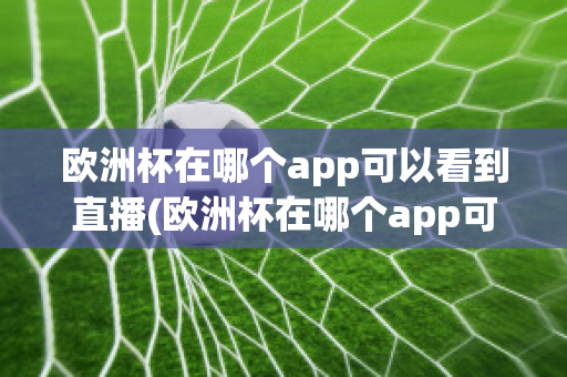 欧洲杯在哪个app可以看到直播(欧洲杯在哪个app可以看到直播视频)