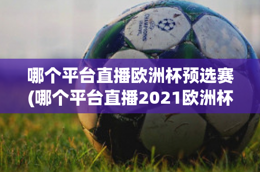 哪个平台直播欧洲杯预选赛(哪个平台直播2021欧洲杯)