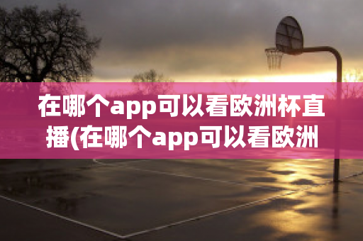 在哪个app可以看欧洲杯直播(在哪个app可以看欧洲杯直播视频)