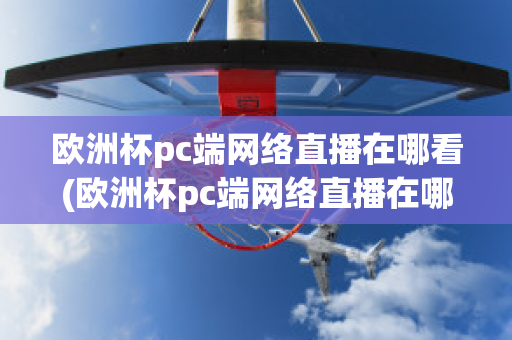 欧洲杯pc端网络直播在哪看(欧洲杯pc端网络直播在哪看回放)