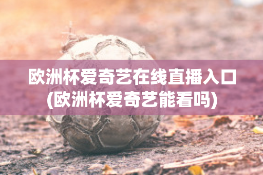 欧洲杯爱奇艺在线直播入口(欧洲杯爱奇艺能看吗)