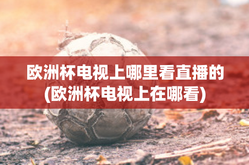 欧洲杯电视上哪里看直播的(欧洲杯电视上在哪看)