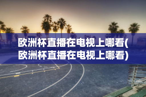 欧洲杯直播在电视上哪看(欧洲杯直播在电视上哪看)