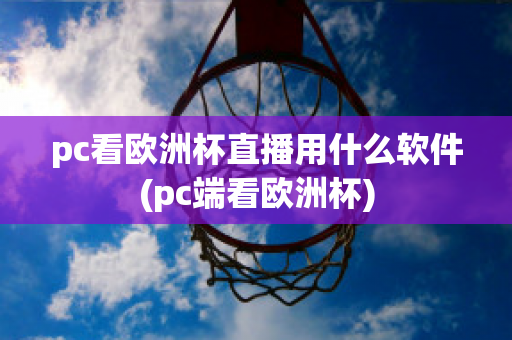 pc看欧洲杯直播用什么软件(pc端看欧洲杯)