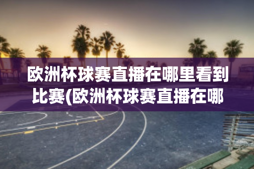 欧洲杯球赛直播在哪里看到比赛(欧洲杯球赛直播在哪里看到比赛结果)