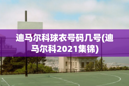 迪马尔科球衣号码几号(迪马尔科2021集锦)