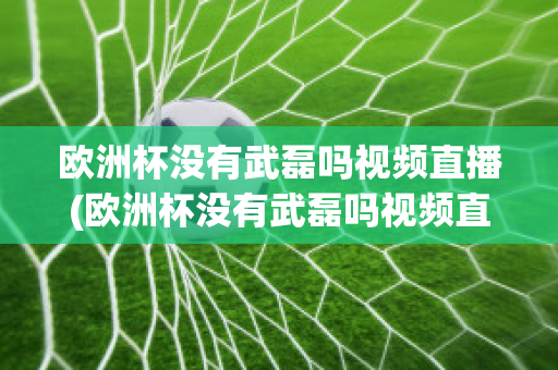 欧洲杯没有武磊吗视频直播(欧洲杯没有武磊吗视频直播在线观看)