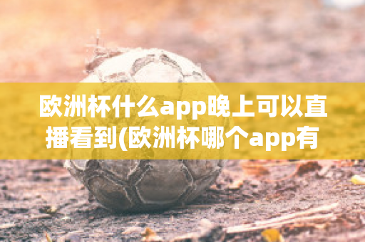 欧洲杯什么app晚上可以直播看到(欧洲杯哪个app有直播)