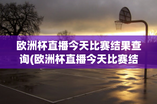 欧洲杯直播今天比赛结果查询(欧洲杯直播今天比赛结果查询官网)