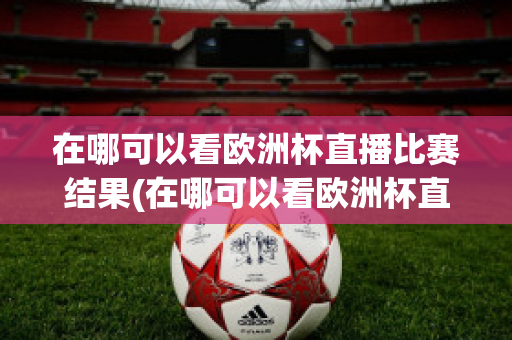 在哪可以看欧洲杯直播比赛结果(在哪可以看欧洲杯直播比赛结果视频)