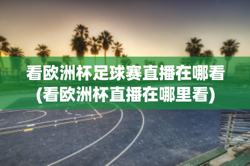 看欧洲杯足球赛直播在哪看(看欧洲杯直播在哪里看)