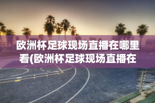 欧洲杯足球现场直播在哪里看(欧洲杯足球现场直播在哪里看回放)