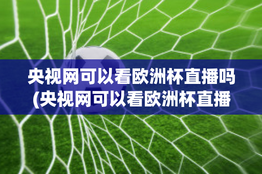 央视网可以看欧洲杯直播吗(央视网可以看欧洲杯直播吗知乎)