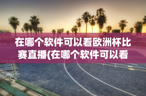 在哪个软件可以看欧洲杯比赛直播(在哪个软件可以看欧洲杯比赛直播视频)