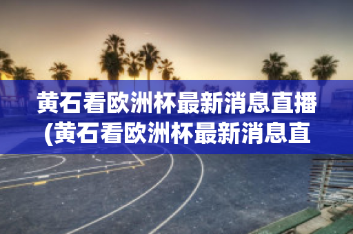 黄石看欧洲杯最新消息直播(黄石看欧洲杯最新消息直播回放)