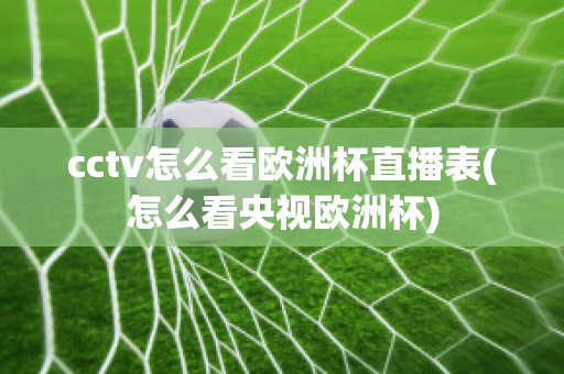 cctv怎么看欧洲杯直播表(怎么看央视欧洲杯)