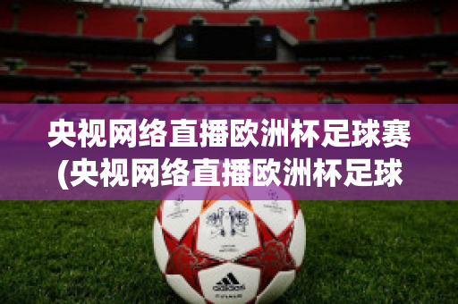 央视网络直播欧洲杯足球赛(央视网络直播欧洲杯足球赛回放)