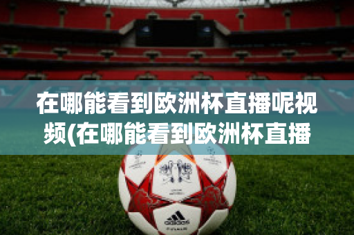 在哪能看到欧洲杯直播呢视频(在哪能看到欧洲杯直播呢视频下载)