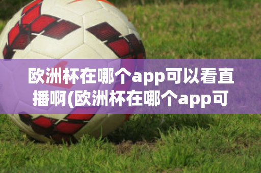 欧洲杯在哪个app可以看直播啊(欧洲杯在哪个app可以看直播啊英文)