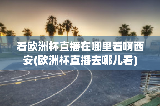 看欧洲杯直播在哪里看啊西安(欧洲杯直播去哪儿看)