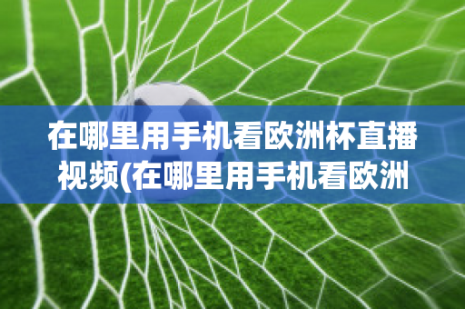 在哪里用手机看欧洲杯直播视频(在哪里用手机看欧洲杯直播视频软件)
