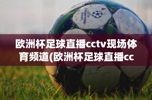 欧洲杯足球直播cctv现场体育频道(欧洲杯足球直播cctv现场体育频道在线观看)