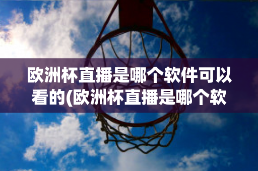 欧洲杯直播是哪个软件可以看的(欧洲杯直播是哪个软件可以看的视频)