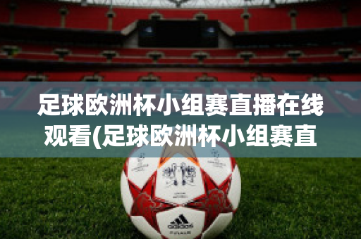 足球欧洲杯小组赛直播在线观看(足球欧洲杯小组赛直播在线观看高清)