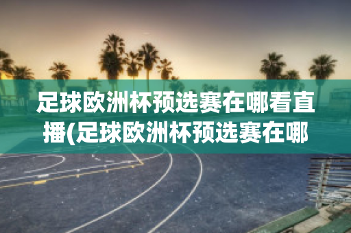 足球欧洲杯预选赛在哪看直播(足球欧洲杯预选赛在哪看直播回放)