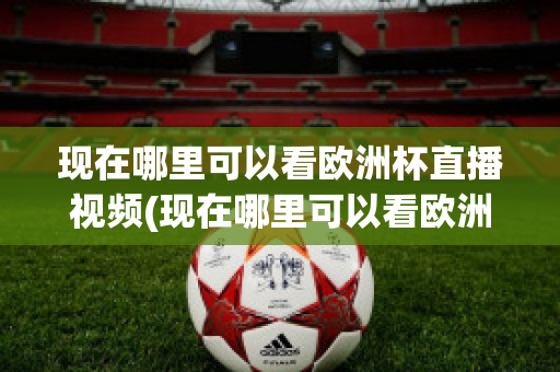 现在哪里可以看欧洲杯直播视频(现在哪里可以看欧洲杯直播视频软件)