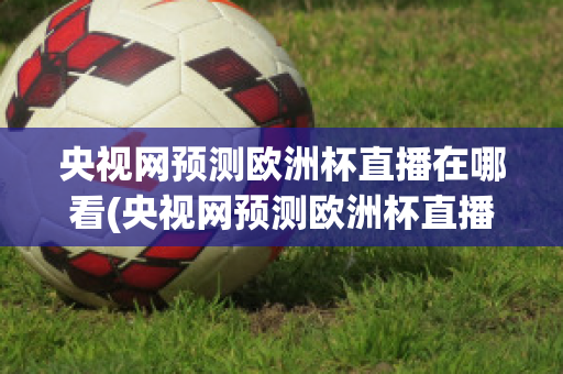 央视网预测欧洲杯直播在哪看(央视网预测欧洲杯直播在哪看回放)