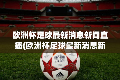 欧洲杯足球最新消息新闻直播(欧洲杯足球最新消息新闻直播回放)