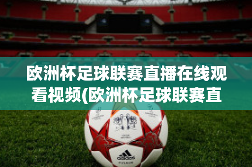 欧洲杯足球联赛直播在线观看视频(欧洲杯足球联赛直播在线观看视频下载)